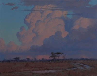 BUSHVELD SCENE AFTER THE RAIN