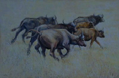 BUFFALO