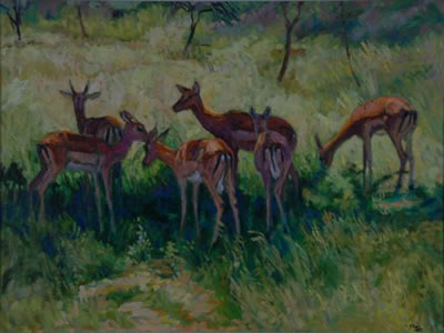 SUMMER AFTERNOON, MALA MALA