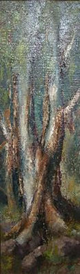 BLUEGUM TREE