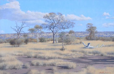 BUSHVELD LANDSCAPE