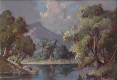 BLUEGUMS NEXT TO A LAKE