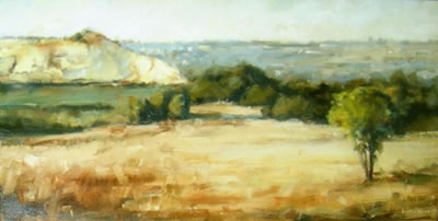 OPEN VELD WITH MINE DUMP