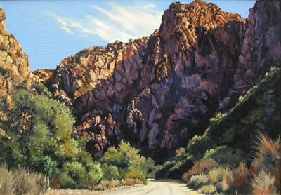 SCENE IN THE NUWEKLOOF PASS