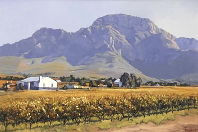 GRAPEVINES AT OVERHEX