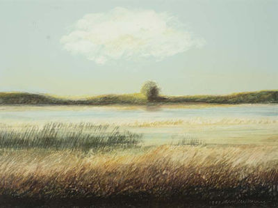 Water and Seagrasses