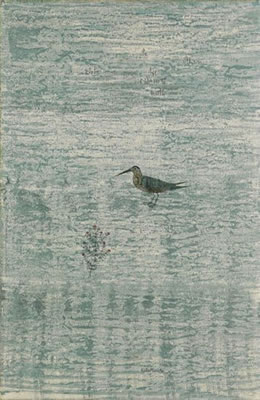 Sand Piper.