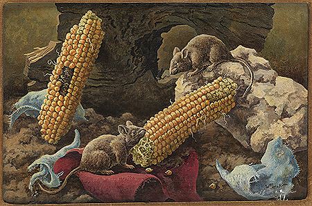 Aesop's Town Mouse and Country Mouse. by William Wind McKim - Auction record, sale price, and art valuation. Compare with similar artists and explore comparable artworks.