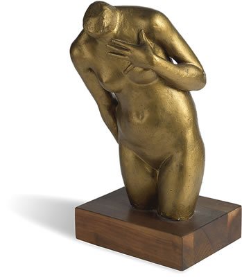 Nude Torso