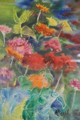 Zinnias
