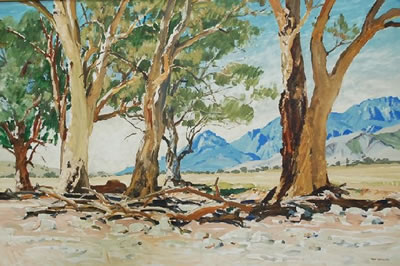 Moralana Flinders Ranges by Maxwell Richard Ragless - Auction record, sale price, and art valuation. Compare with similar artists and explore comparable artworks.