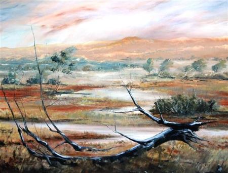 Above Goyder's Line