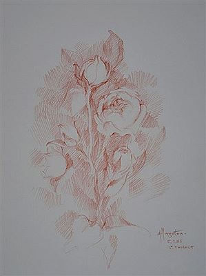 ETUDE DE ROSE POUR LA SAINT THIBAUT