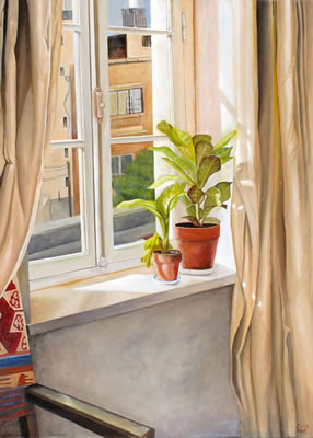 A Plant in the Window