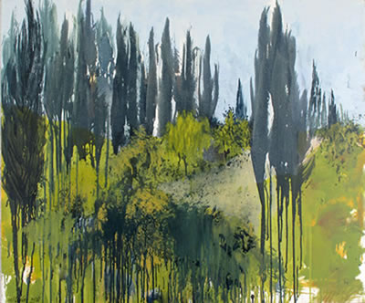 Cypress