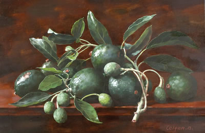 Avocado