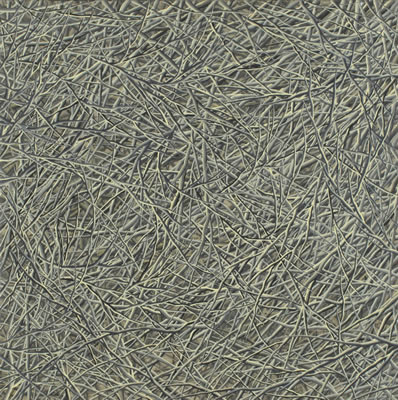 Thicket