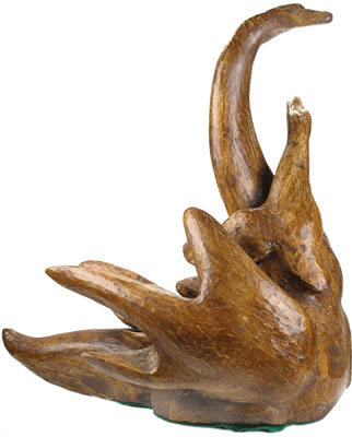 Swan