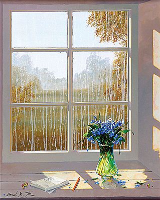 Plant in the window