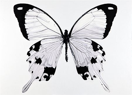 Butterfly (I Miss U)