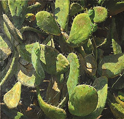 Cacti