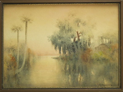 Florida Wetlands
