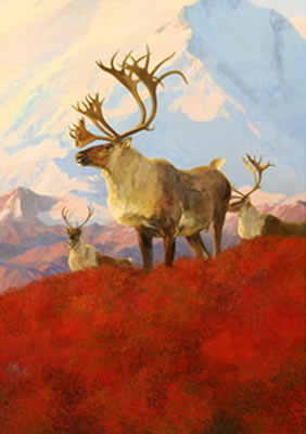 "OSBORN CARIBOU"