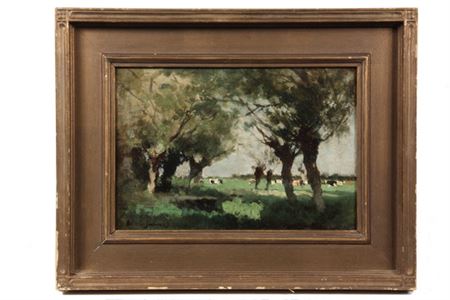 Cows in Field