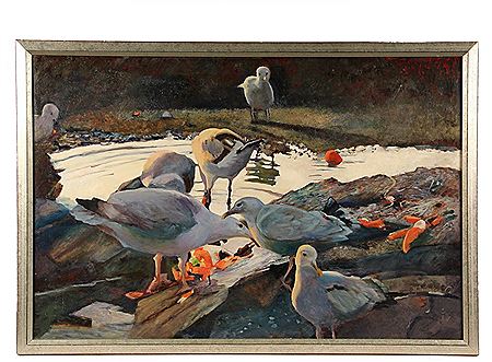 "Lunch at the Tide Pool"