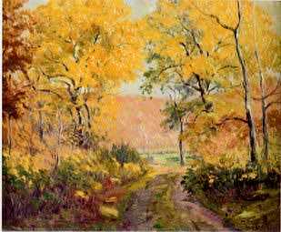 Brown County Landscape