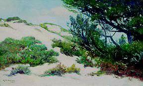 California Coast