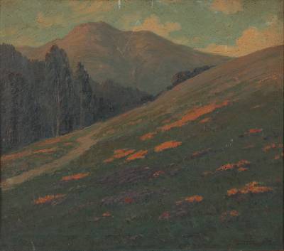California Landscape with Wildflowers