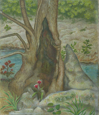 Tree and Rocks