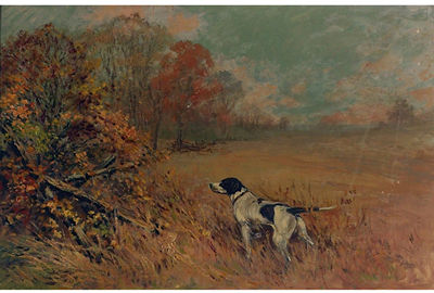 Hunting Dog