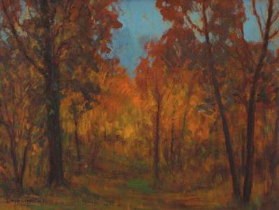 Forest Interior
