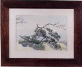 California scene with sand and wind