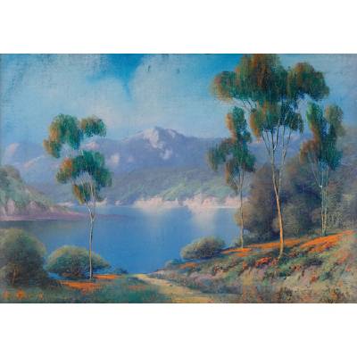 California Landscape