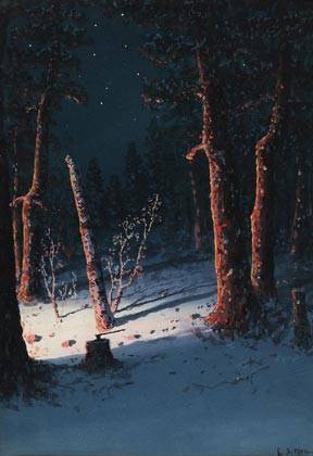 Winter Nocturne