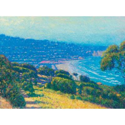 Above La Jolla Shores