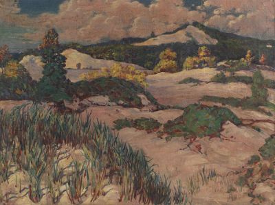 Indiana Dunes by Harry Haviland Osgood - Auction record, sale price, and art valuation. Compare with similar artists and explore comparable artworks.