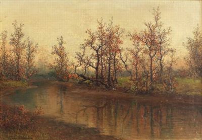 Woodland Stream