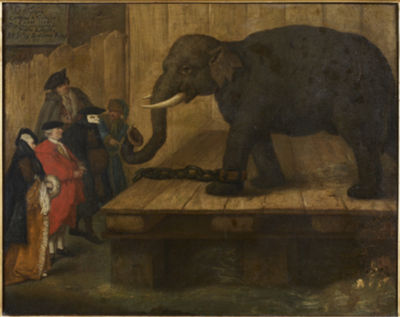 The Elephant