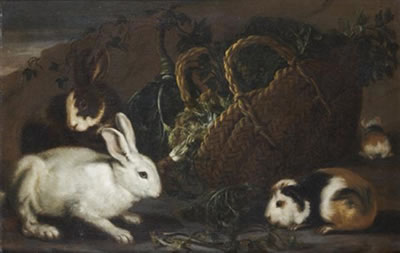Lapins et cochons d'Inde autour d'un panier d'herbes