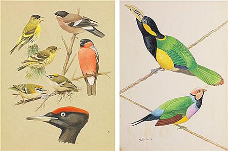 1) Caricature animalière; 2) Oiseaux by Arthur Gouverneur - Auction record, sale price, and art valuation. Compare with similar artists and explore comparable artworks.