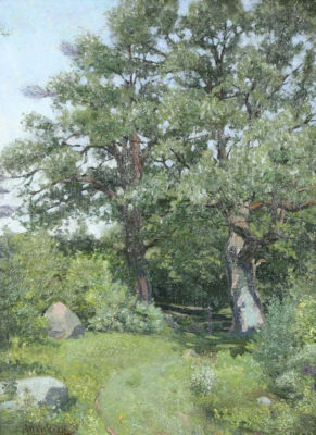 Summer Meadow