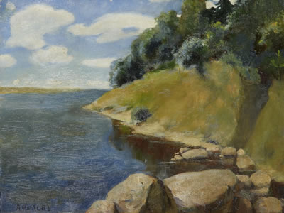 Coastal landscape