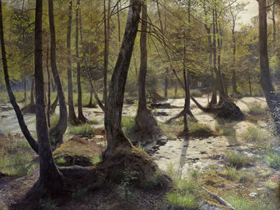 Skogstjärnen