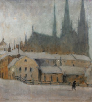Dimhöljd uppsalavy mot domkyrkan
