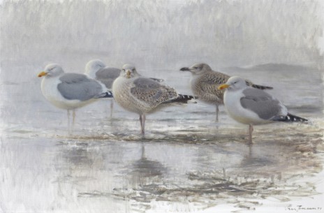 Sample artwork by Lars Jonsson (Born 1952), known for birds, animal, botanic and landscape painting, ornithology illustrations - View similar artists and auction records