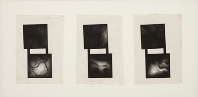 Untitled by Jose D'Apice - Auction record, sale price, and art valuation. Compare with similar artists and explore comparable artworks.